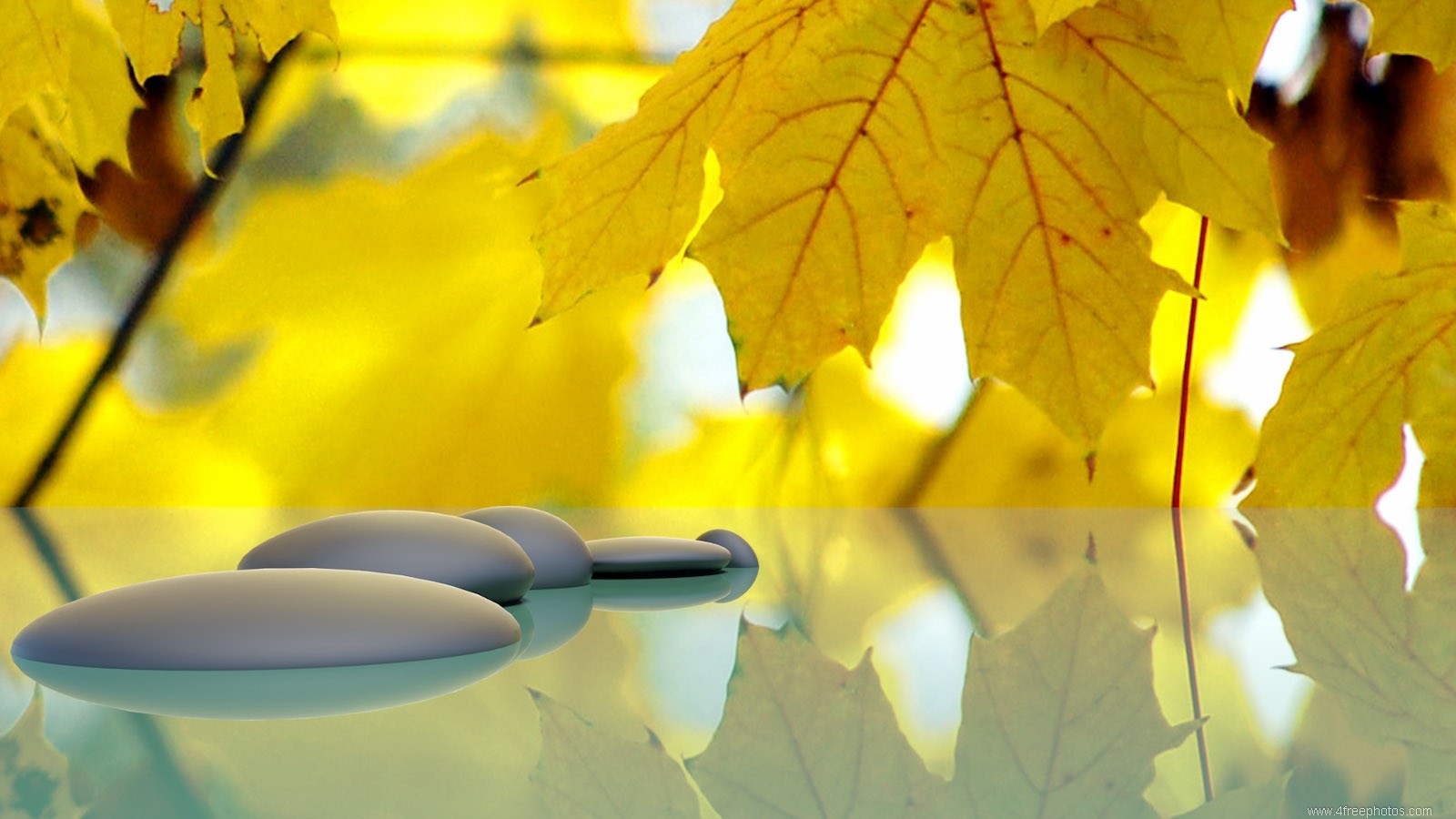 Cisza podziałała na mnie przygnębiająco. Nie ta na zewnątrz, ale …