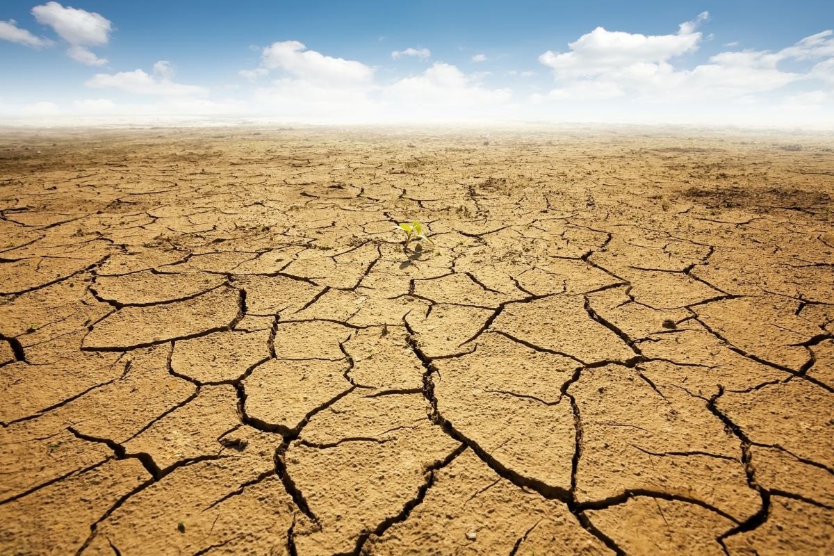 Niemożliwe jest zbudowanie solidnego fundamentu na piasku niepewności.