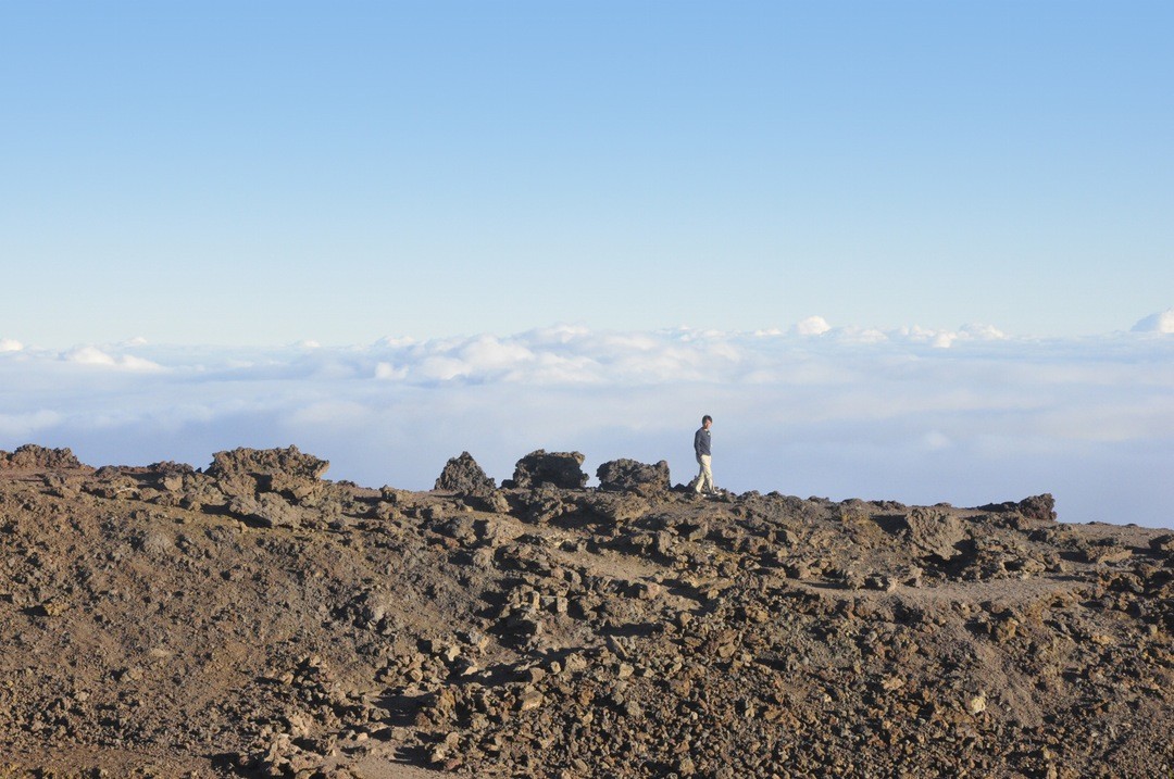 Nie stawiaj wszystkiego na jedną kartę, możesz postawić na siebie, …