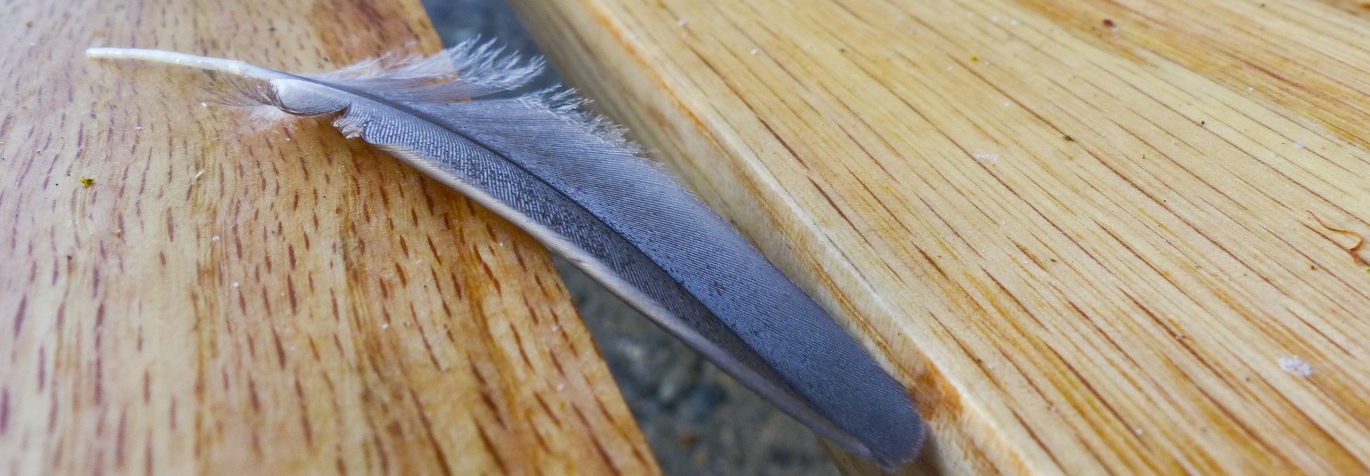 Zbyt mnie straszyli i teraz niczym już przestraszyć nie są …