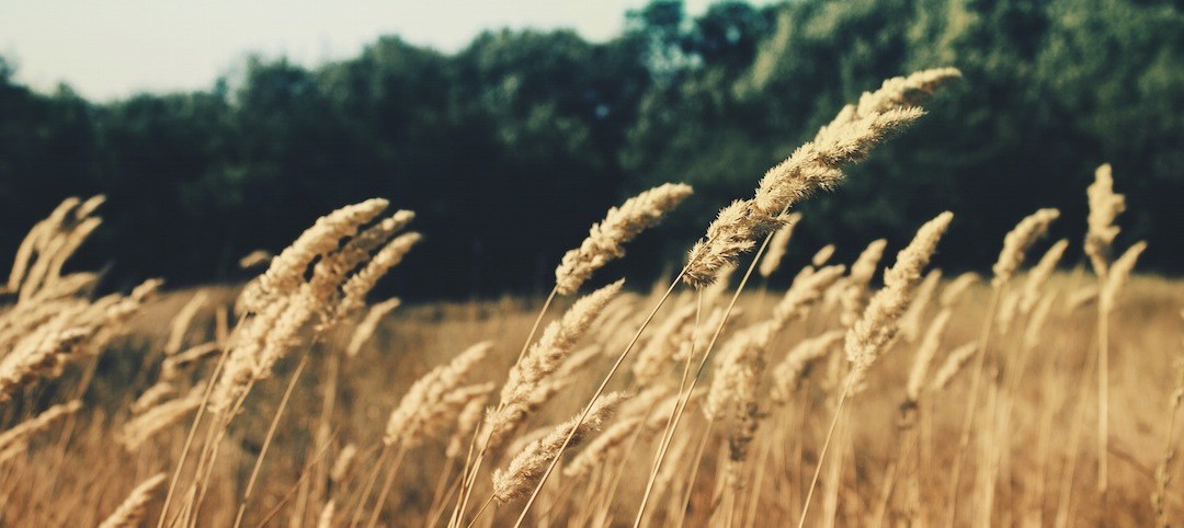 Nadzieja trzyma przy życiu. Nawet po śmierci jest to jedyna …