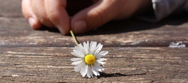 Jednak w życiu zwykle tak się zdarza, że kto spodziewa …