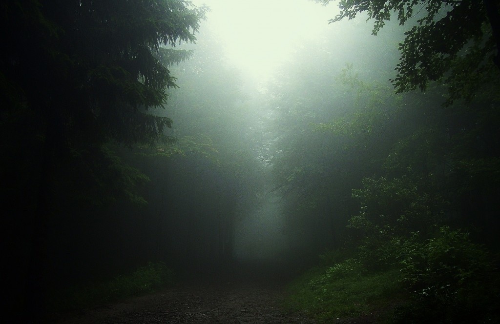 Dobry człowiek jest jak małe światełko. Wędruje poprzez mroki naszego …
