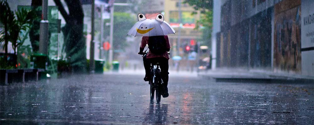 Lepszy jest chleb przy spokojnym sercu niż bogactwo pełne niepokoju.