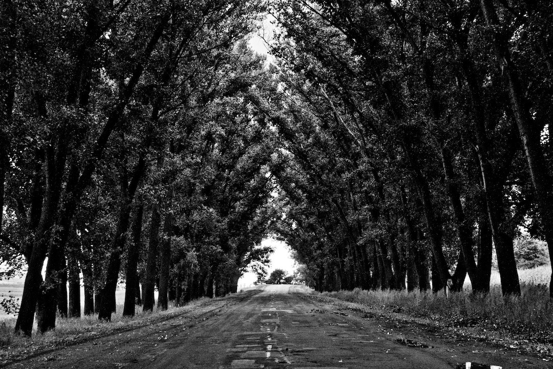 Świat bez miłości jest martwym światem i zawsze przychodzi godzina, …