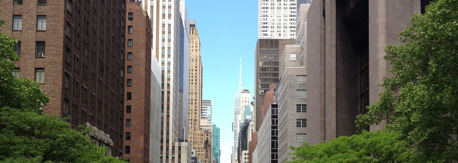 Nie przejmuję się moralnością, wyżej cenię inteligencję.