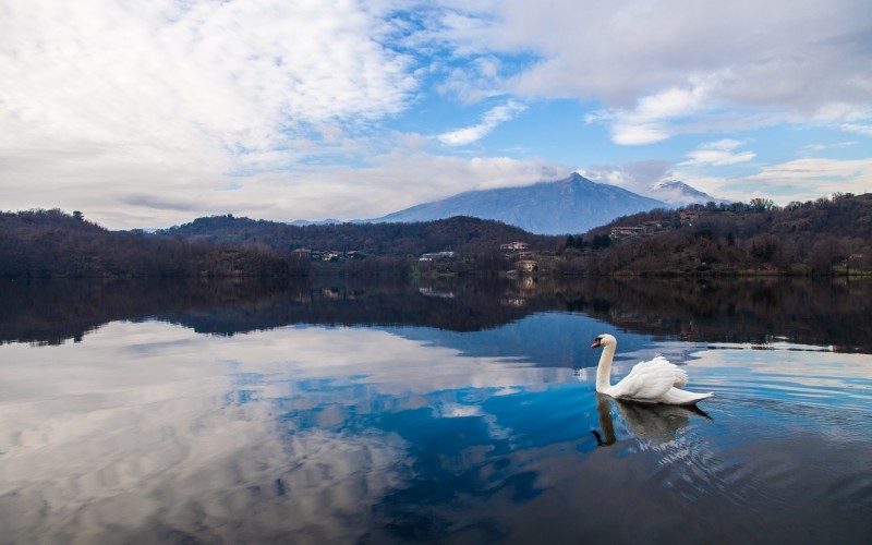 Fortuna to niestała dziwka zwariowana na punkcie ironii.