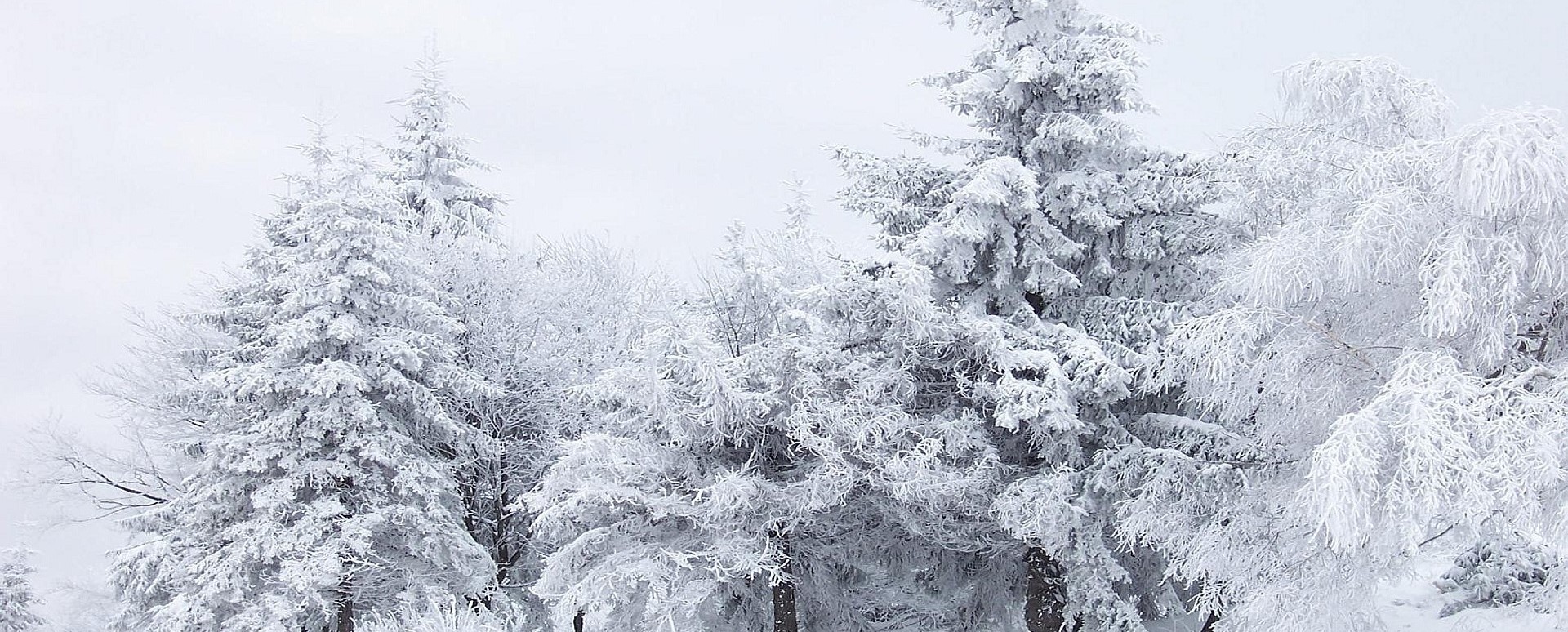 A to znaczy, że nie zawsze możemy dostać to, czego …
