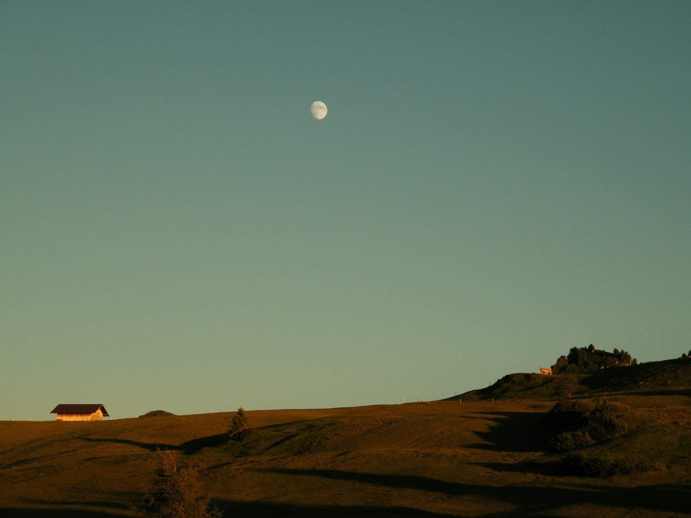 No to z Panem Bogiem. Ruszaj do wszystkich diabłów.