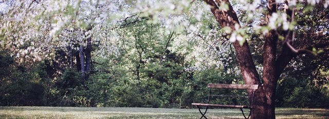 Wykąpmy się jeszcze raz w tych spranych gestach, kawałach i …