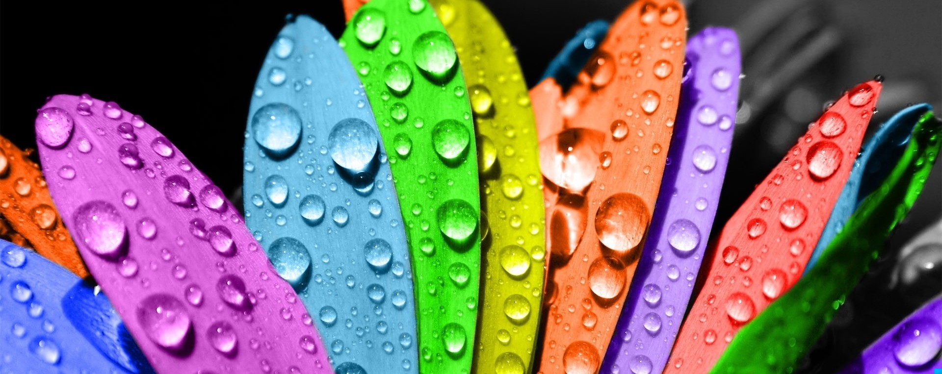 – Wolę żyć, umierając, niż umrzeć nigdy nie żyjąc.