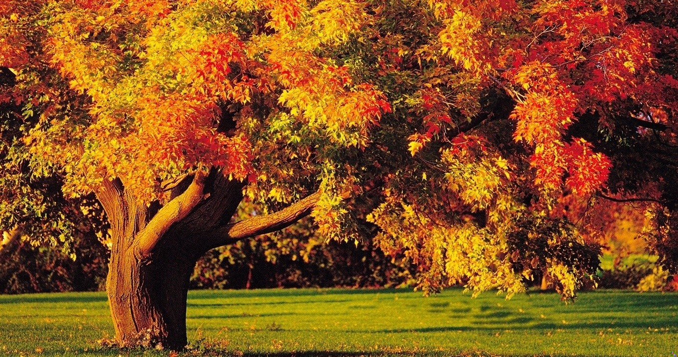 Wpatrując się w sufit, doszła do wniosku, że może dlatego …