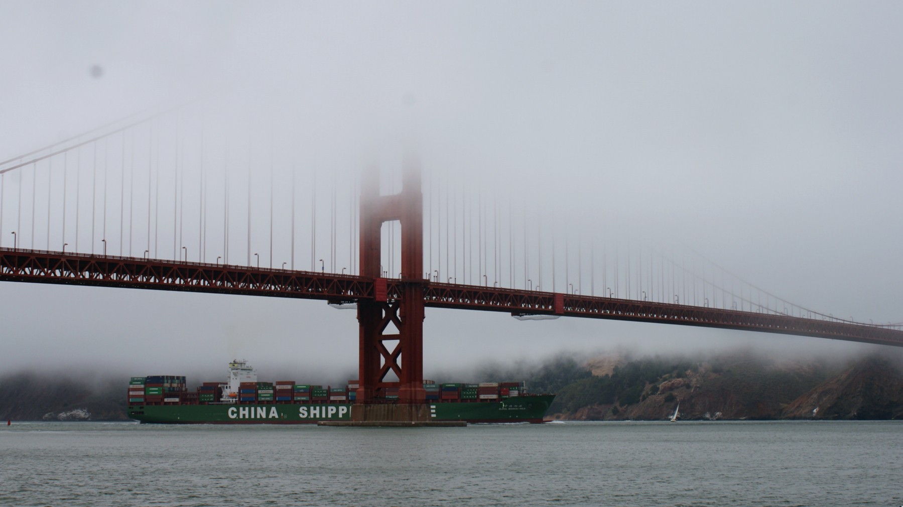 Ja nie myślę mózgiem – o nie, bynajmniej. To myśli …