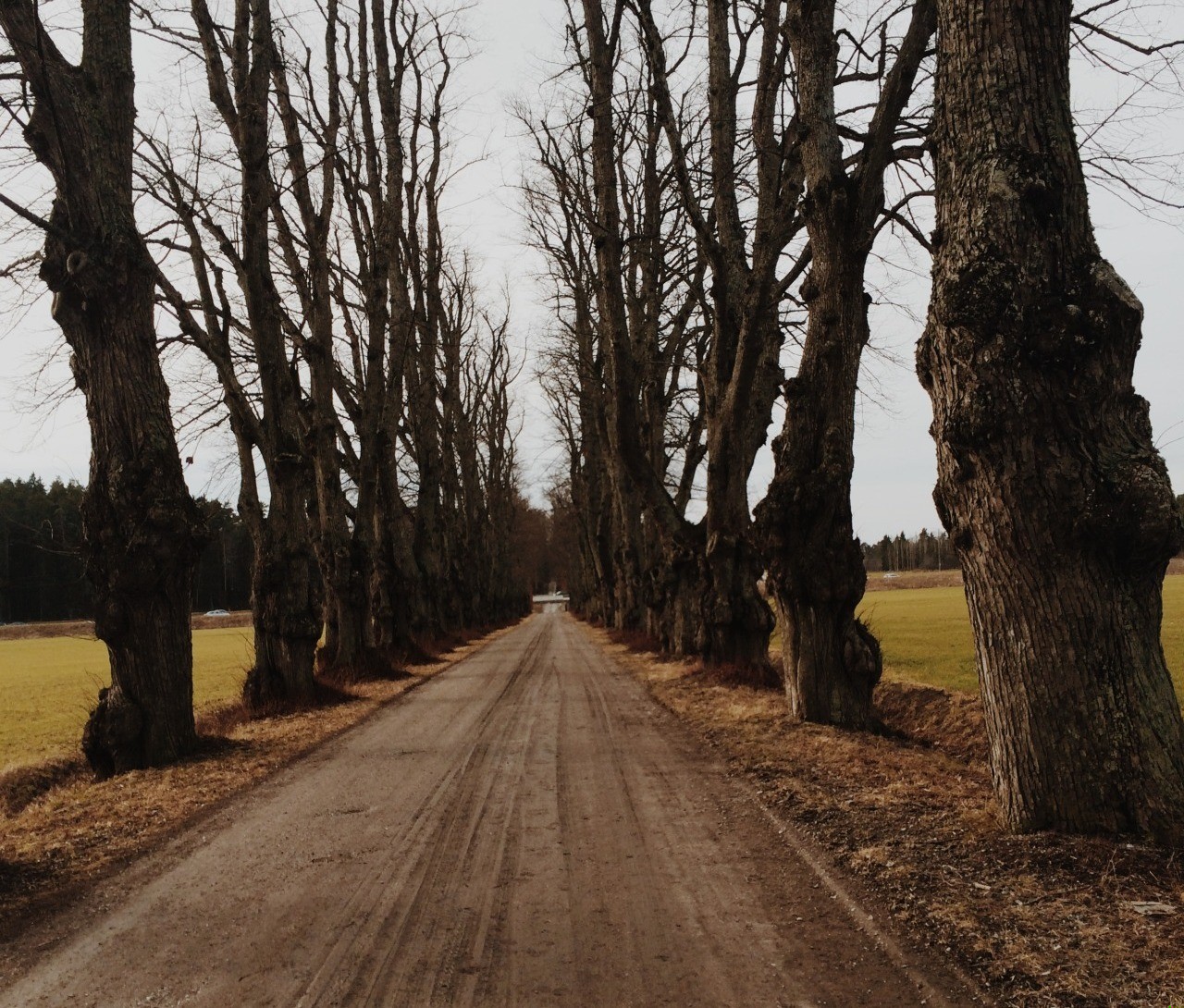 Problem w tym – powiedział Hampty Dampty – kto kim …