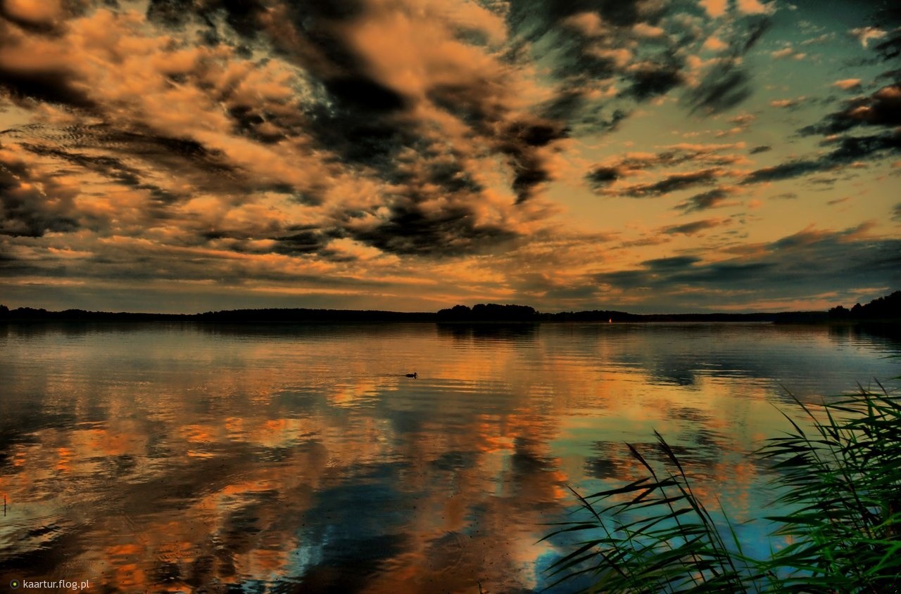 Najpierw tęskniłam za nim. Tak do bólu, uśmierzanego litrową butelką …