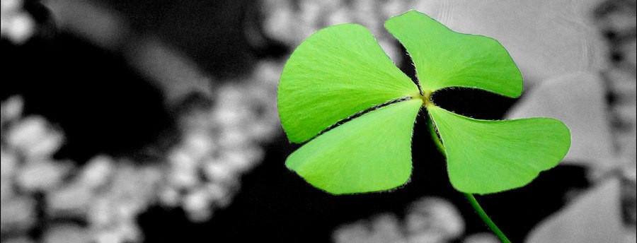 Szczęścia nie można precyzyjnie zmierzyć, zagłosować za lub przeciw w …