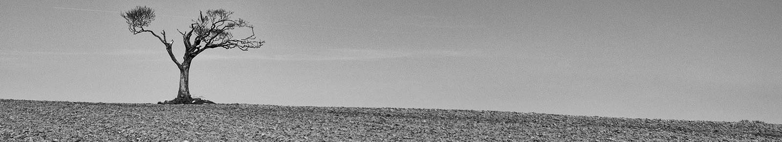 Dosis sola venenum facit (tylko dawka czyni substancję trucizną).