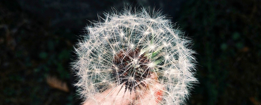 Kiedy się kogoś kocha, jest się gotowym na wszystko, aby …