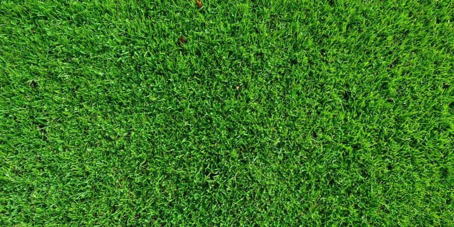 Nawet najlepszy psycholog nie pomoże nam, jeśli sami nie dogadamy …