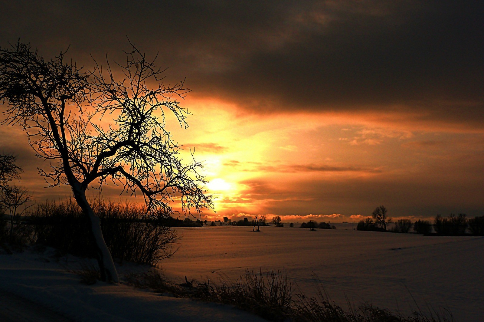 Jak lizać rany celnie zadane, jak lepić serce w proch …