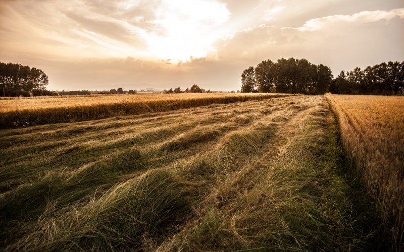 Duma zamyka ludziom oczy na prawdę o nich samych.