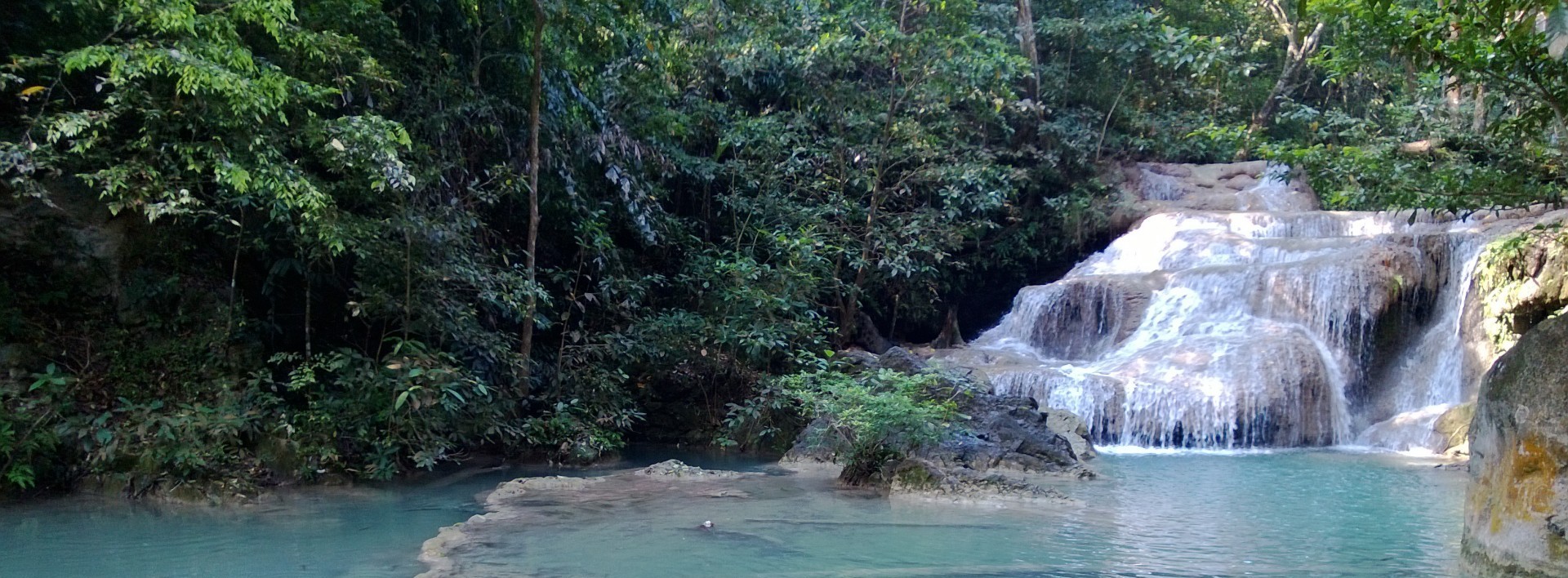 Pan chce widzieć sens, a dopuszcza się największego bezsensu. To …