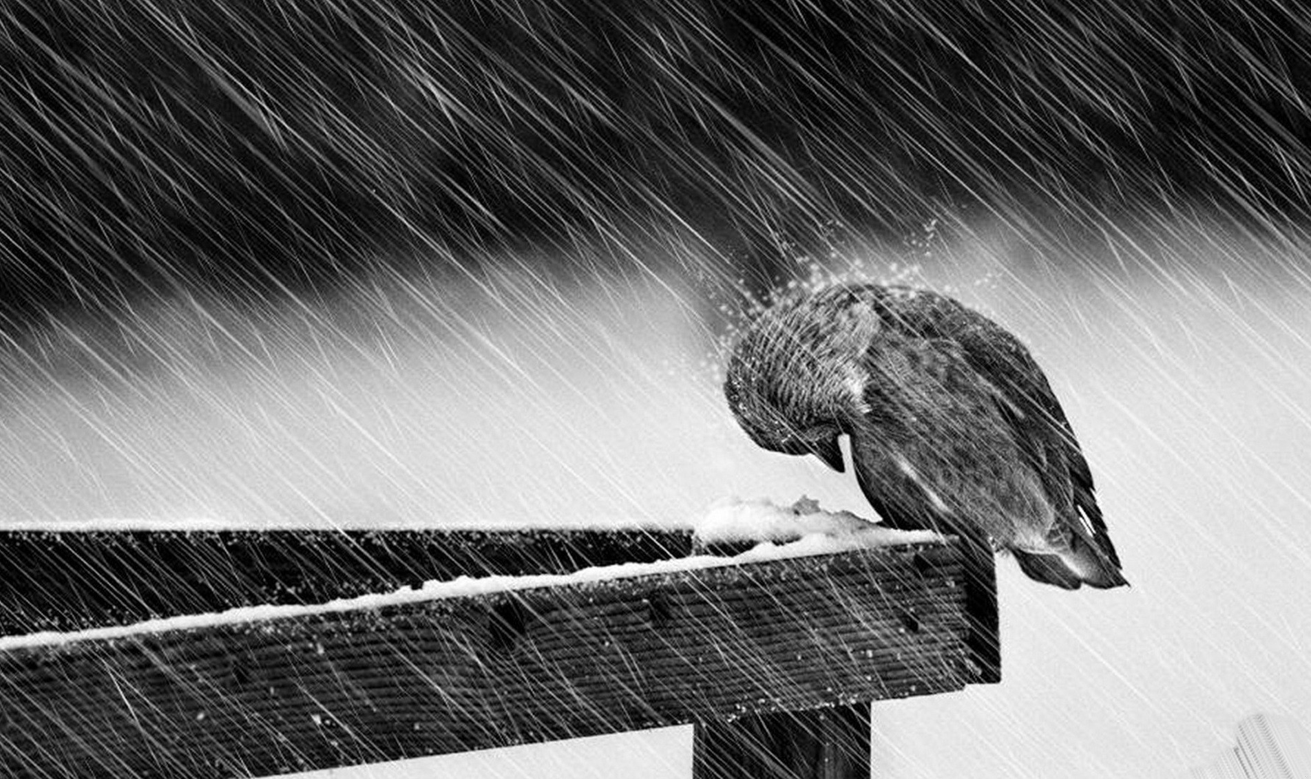 Najgorsze, co może spotkać człowieka, to żyć i umrzeć w …