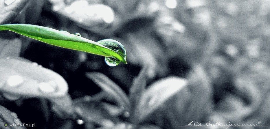 Czy normalne jest to, że ktoś chce być przez całe …