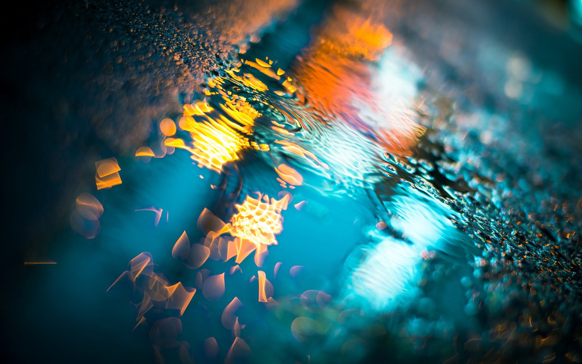 W wieczory takie jak ten uświadamiam sobie, jak bardzo samotna …