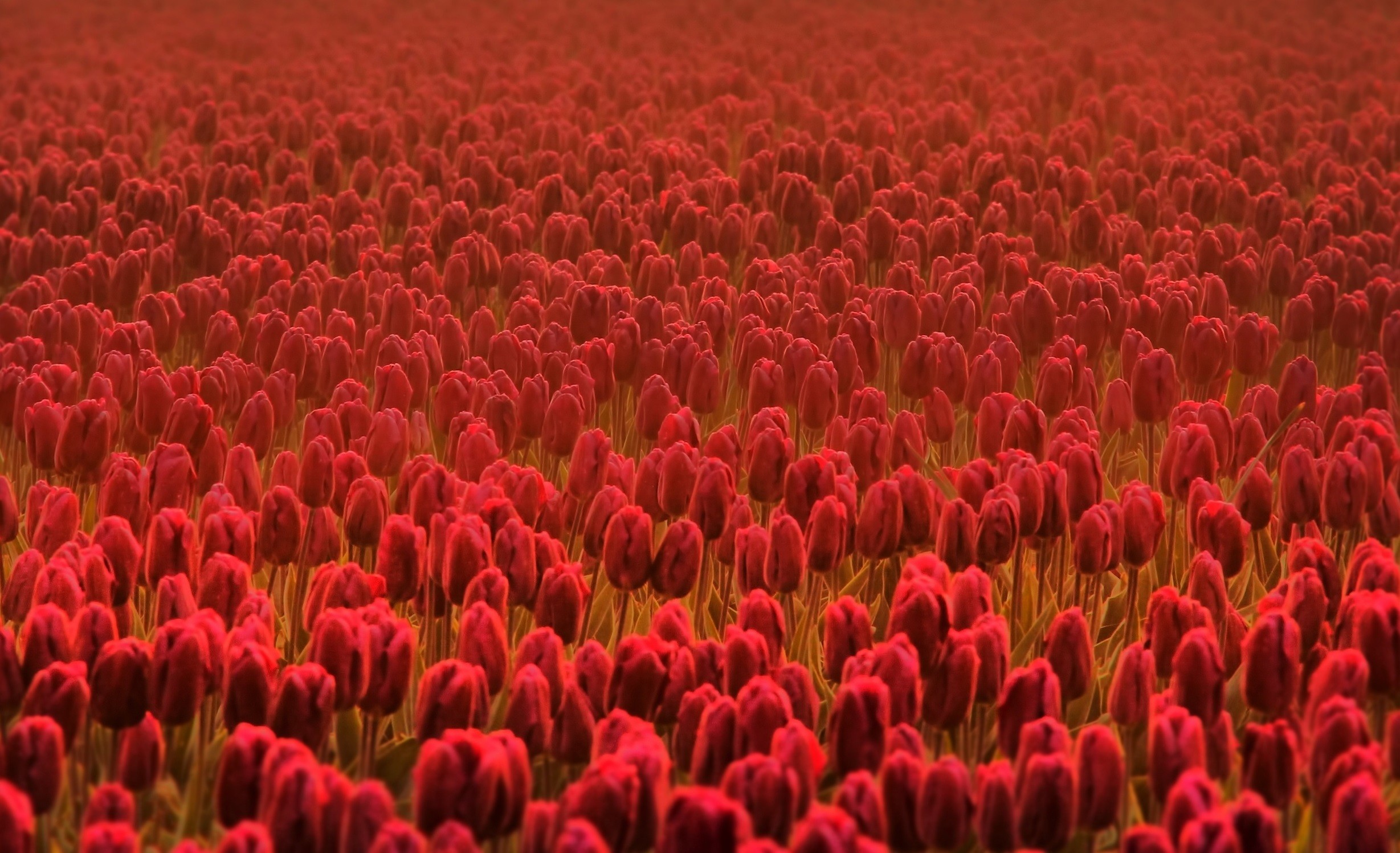 To były dobre lata, ale wiemy- z opowieści i z …