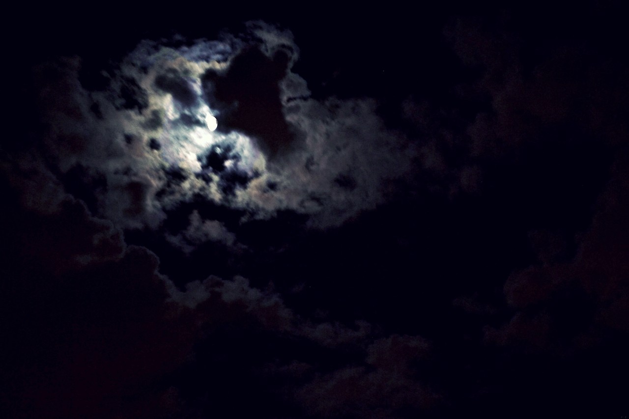 Piękny wieczór, jak to pięknie mieć kilka godzin wolnych… To …