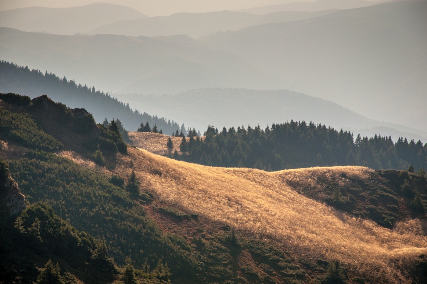 Może zamiast myśleć o tym, czego ci brakuje, skupisz się …