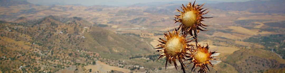 Właśnie to, że mówię głupstwa, czyni mnie człowiekiem.