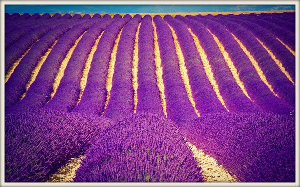 Jeśli kiedykolwiek zamierzasz cieszyć się życiem, teraz jest na to …