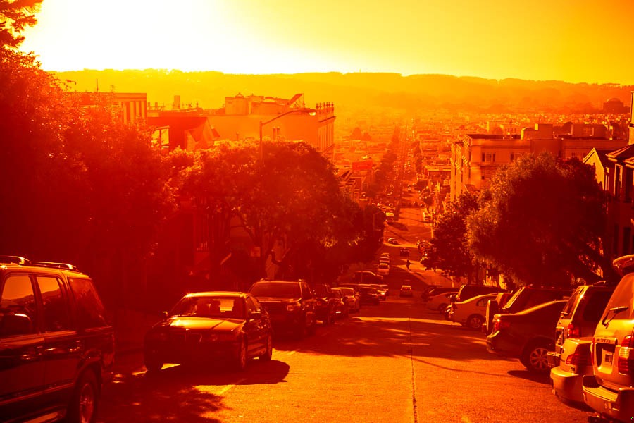 […] na zalanej słońcem łące, daleko od utartych ścieżek codziennego …