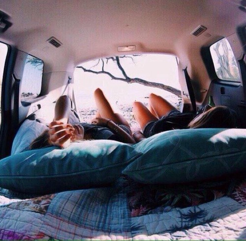 Drapieżniki łowi się podstępem, zwierzęta domowe – arkanem.