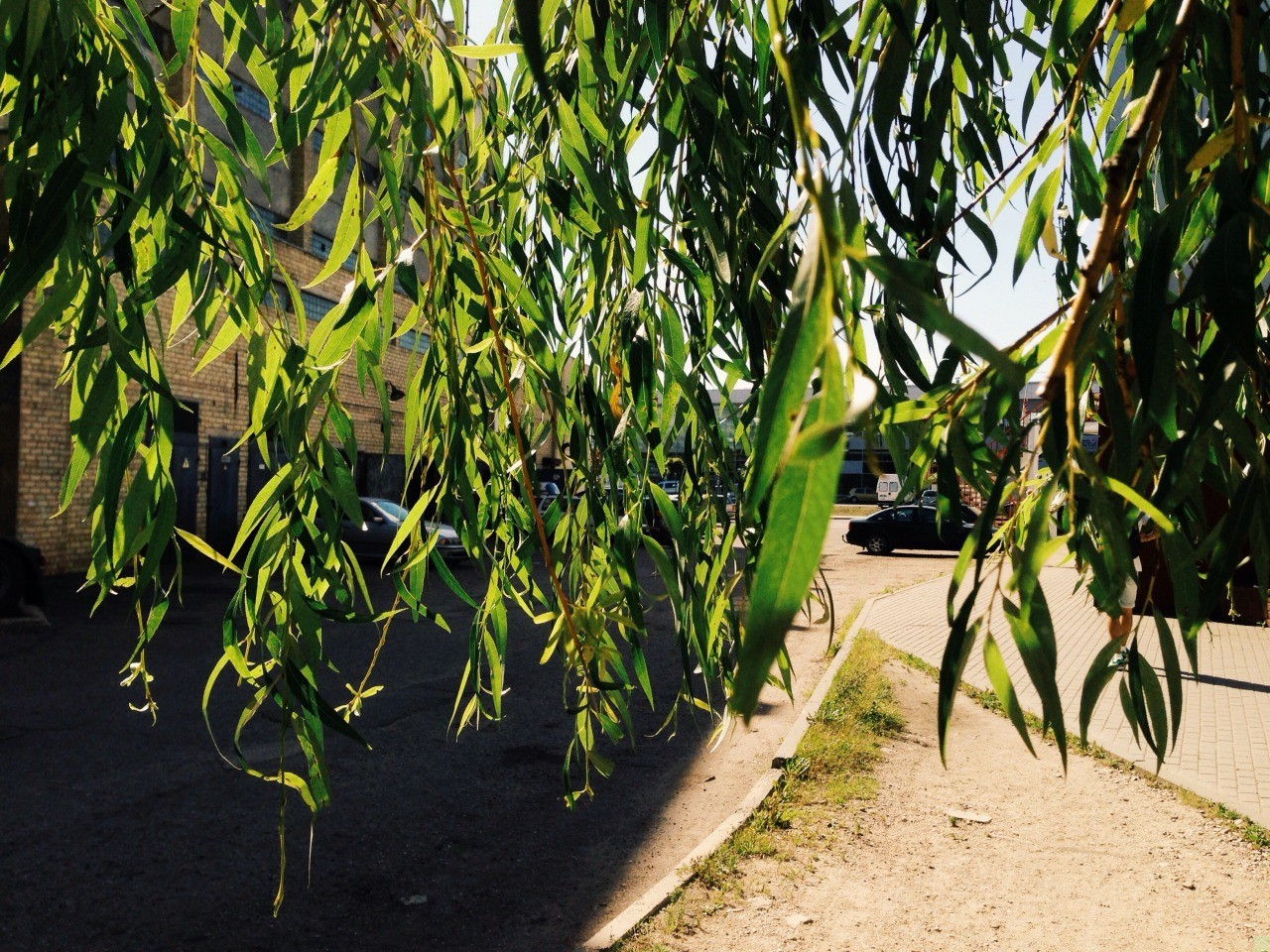 Zamiast szukać tego, co stracone, lepiej skupić się na tym …