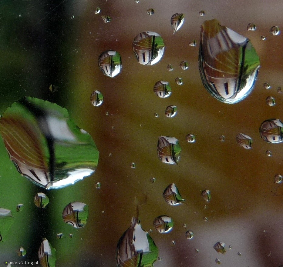 Własnego życia nie da się opowiedzieć, można je tylko obnażyć.