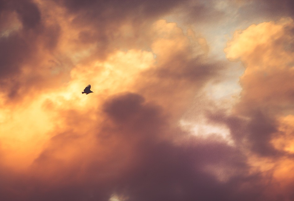 Nigdy nie jest za późno – pomyślała – nigdy, nawet …