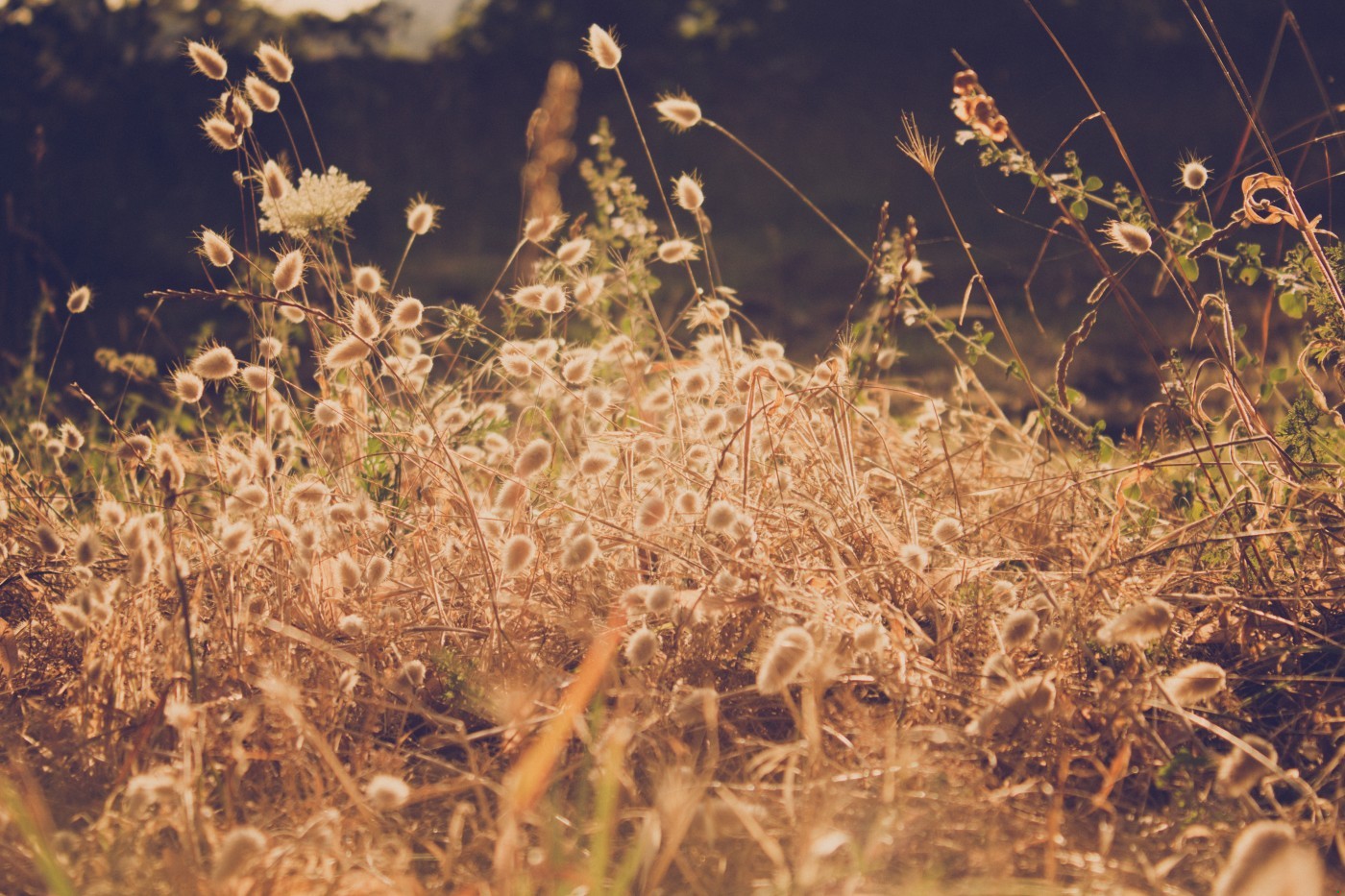 Nie potrzeba słów tam, gdzie czyny świadczą same za siebie.