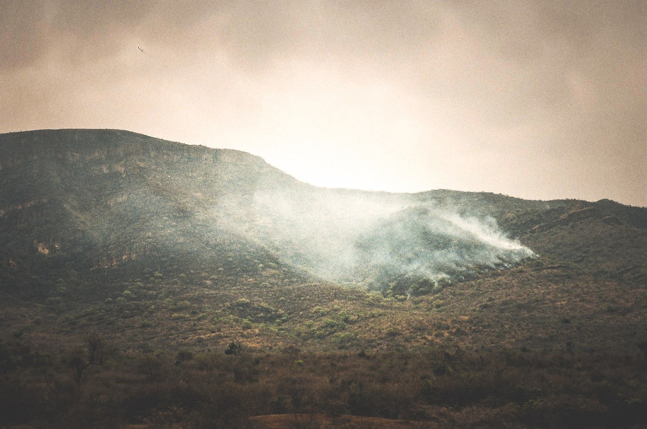 ludzie mówią, że bez miłości nie da się żyć. osobiście …