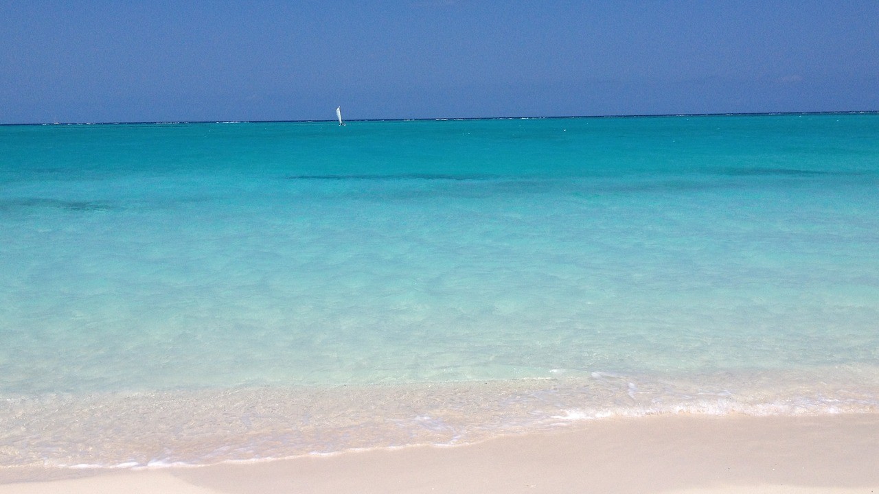 Nic, co robisz, nie jest stratą czasu, jeśli umiesz mądrze …