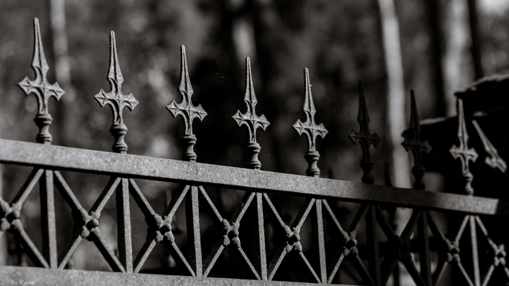 Nowe zasady budowy ogrodzeń od września 2026! Co się zmieni?