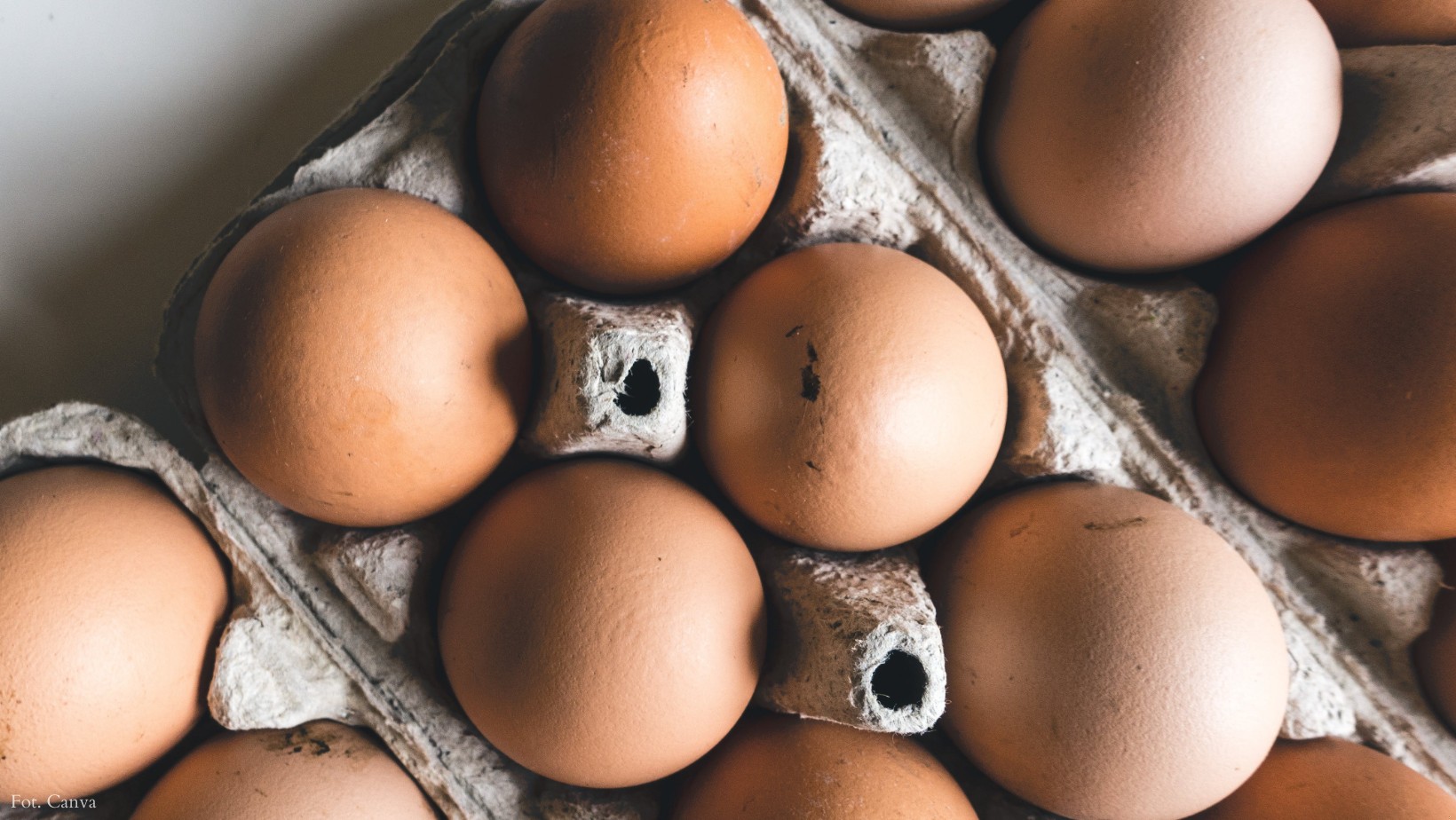 GIS ostrzega! Śmiertelne niebezpieczeństwo! Salmonella wykryta w jajach!