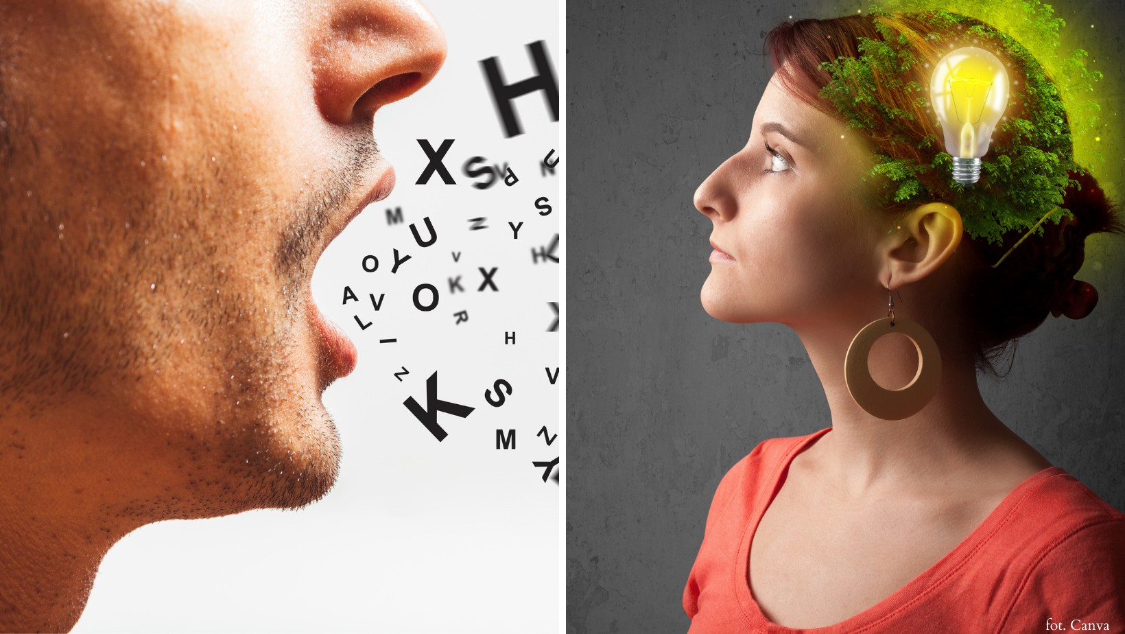 Te zdania mówią tylko inteligentne osoby