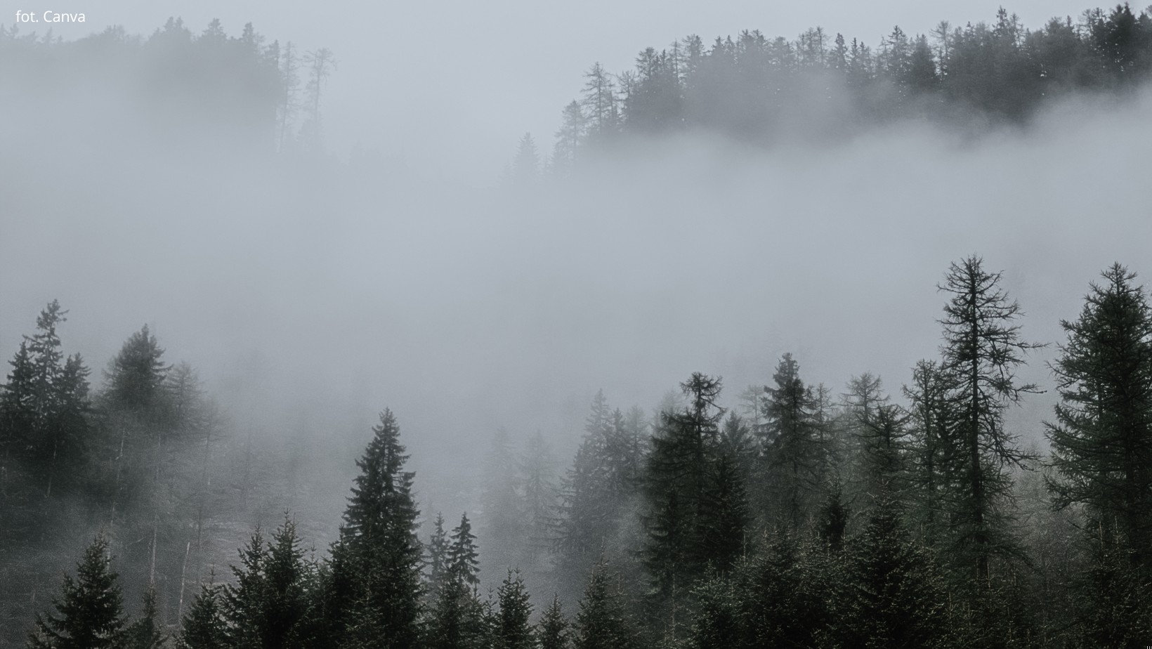 Zdjęcie IMGW ostrzega! Mgła paraliżuje Polskę! Czeka nas noc grozy! #1