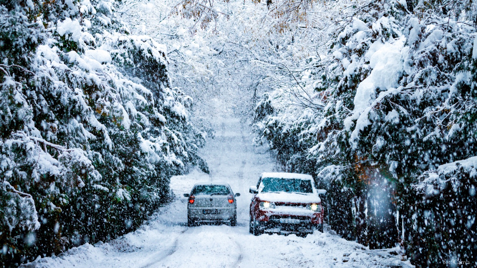 Nawet 60 cm śniegu w kilka godzin. IMGW wydaje czerwony alert przed śnieżycami!