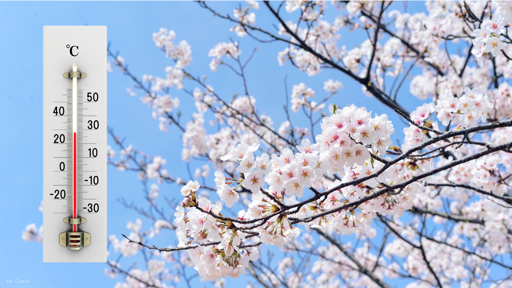 To już koniec zimy? Prognozy szokują – nawet 20°C!