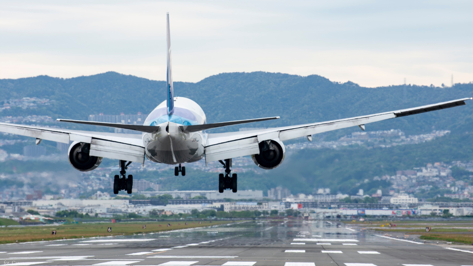 apel ambasady Polski