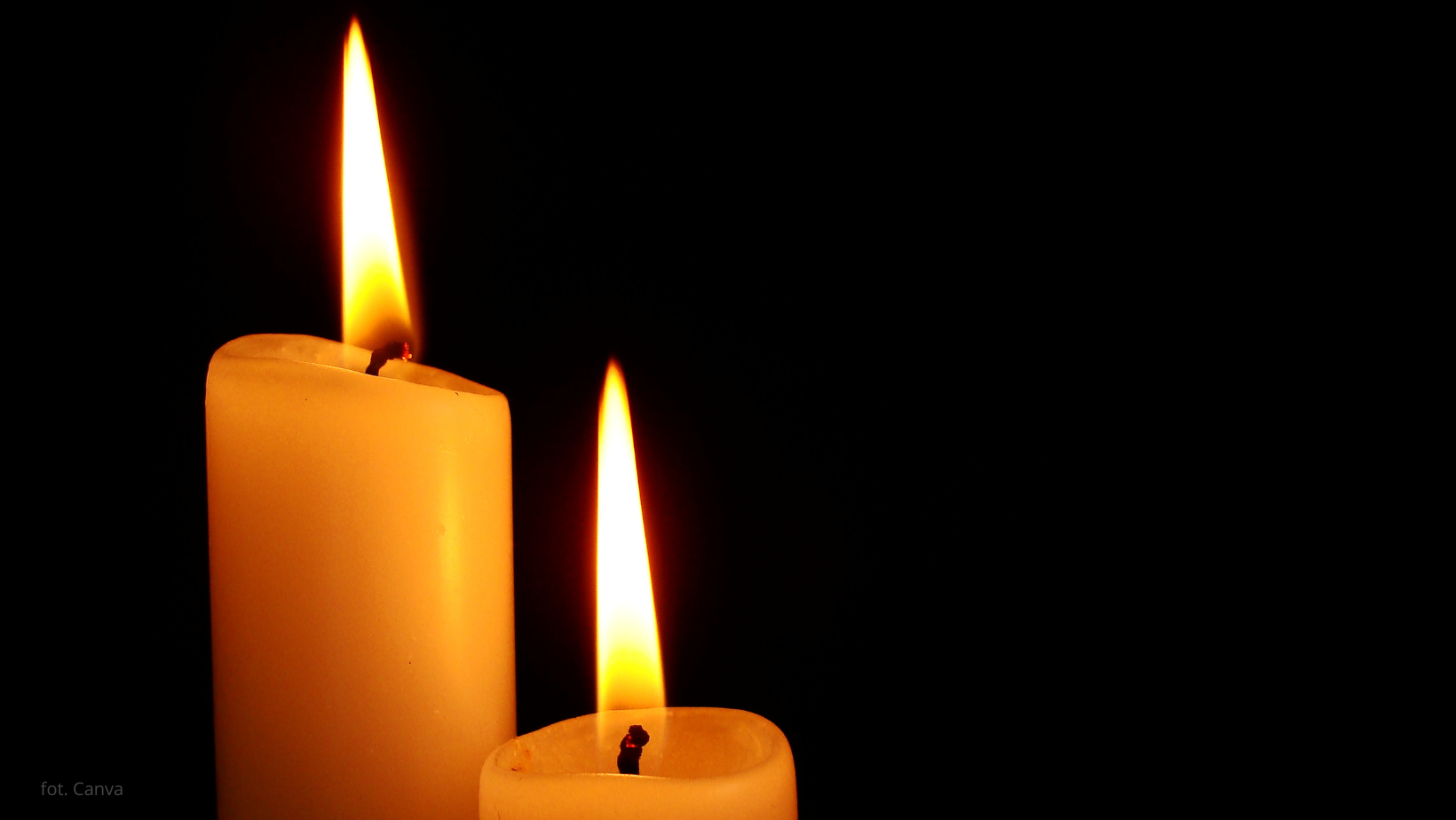 Katastrofa samolotu. Nie żyje milioner i jego ciężarna żona